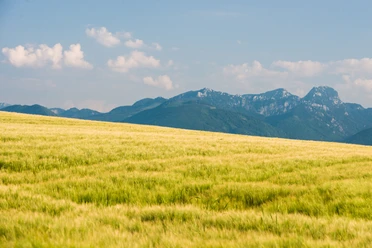 Panorama Ellmosen
