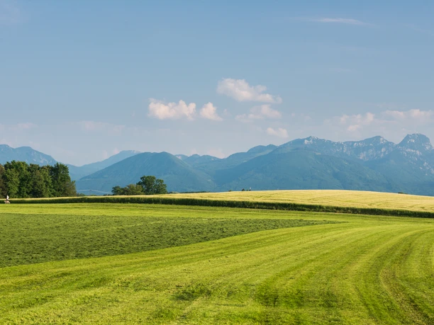 Bergpanorama Ellmosen
