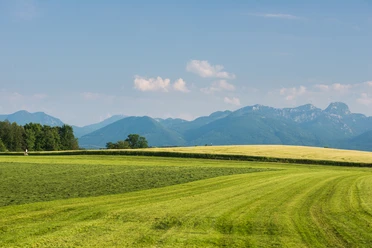 Panoramablick Ellmosen