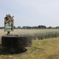 Mühlenstein in Thuine