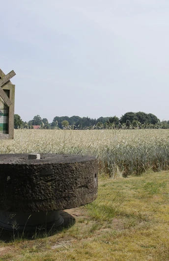 Mühlenstein in Thuine