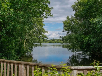 Saller See – Erholungsgebiet zwischen Lengerich und Freren