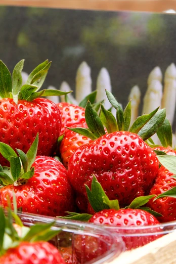 Hof Schroeter und Wielage in Bawinkel