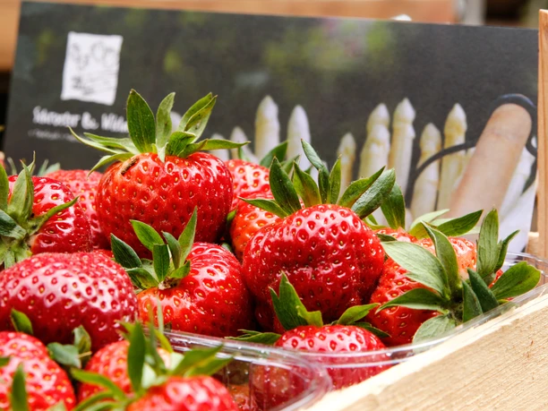 Hof Schroeter und Wielage in Bawinkel