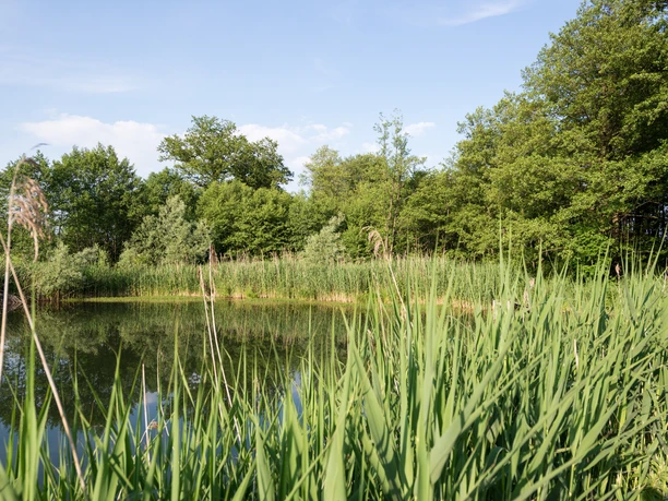 Ellmosen Panoramablick