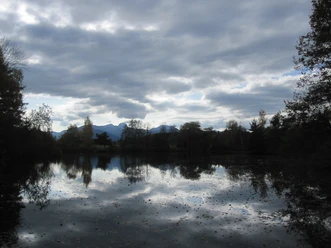 Hafnerweiher