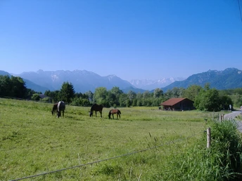 Blick in Richtung Zugspitze