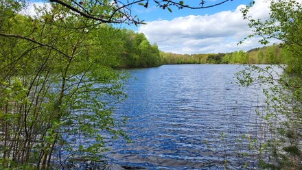 Tunxdorfer Waldsee, Papenburg