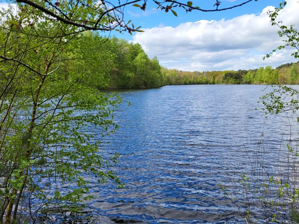 Tunxdorfer Waldsee, Papenburg
