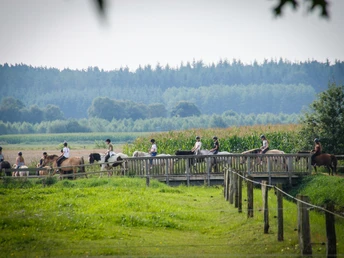 Reiten in Hilter ©Emsland Tourismus GmbH (2).JPG