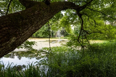 Irlacher Weiher im Kurpark