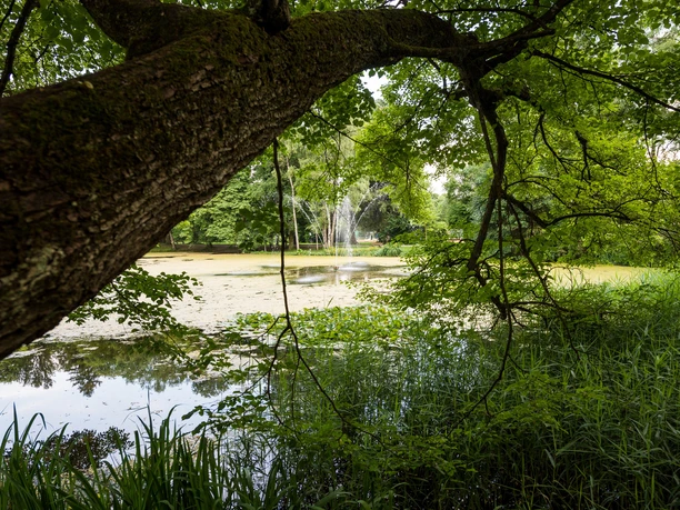 Irlacher Weiher im Kurpark