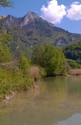 Vogelinsel am Inn - AS.jpg