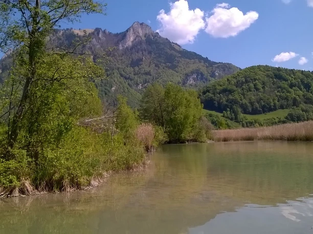 Vogelinsel am Inn - AS.jpg