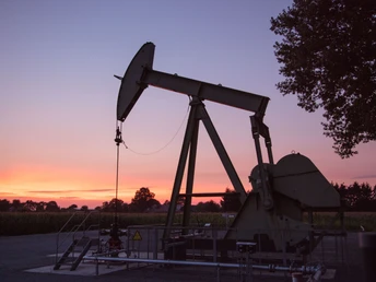 Ölnicker bei Sonnenuntergang im Rühlermoor