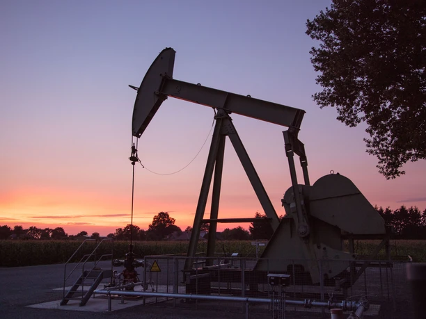Ölnicker bei Sonnenuntergang im Rühlermoor