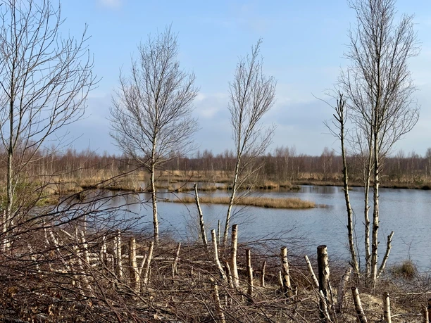 Hochmoorlandschaft Provinzialmoor