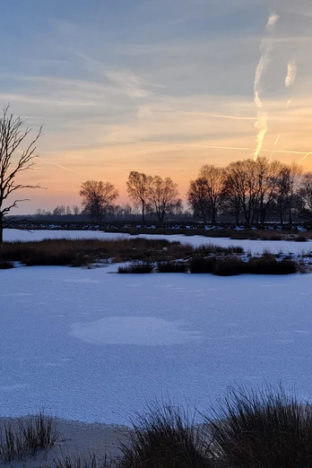Bargerveen im Winter