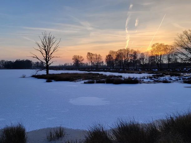Bargerveen im Winter