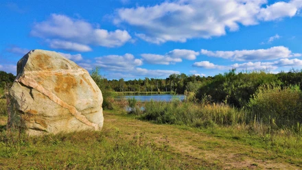 Findling im Naturpark Bourtanger Moor - Veenland