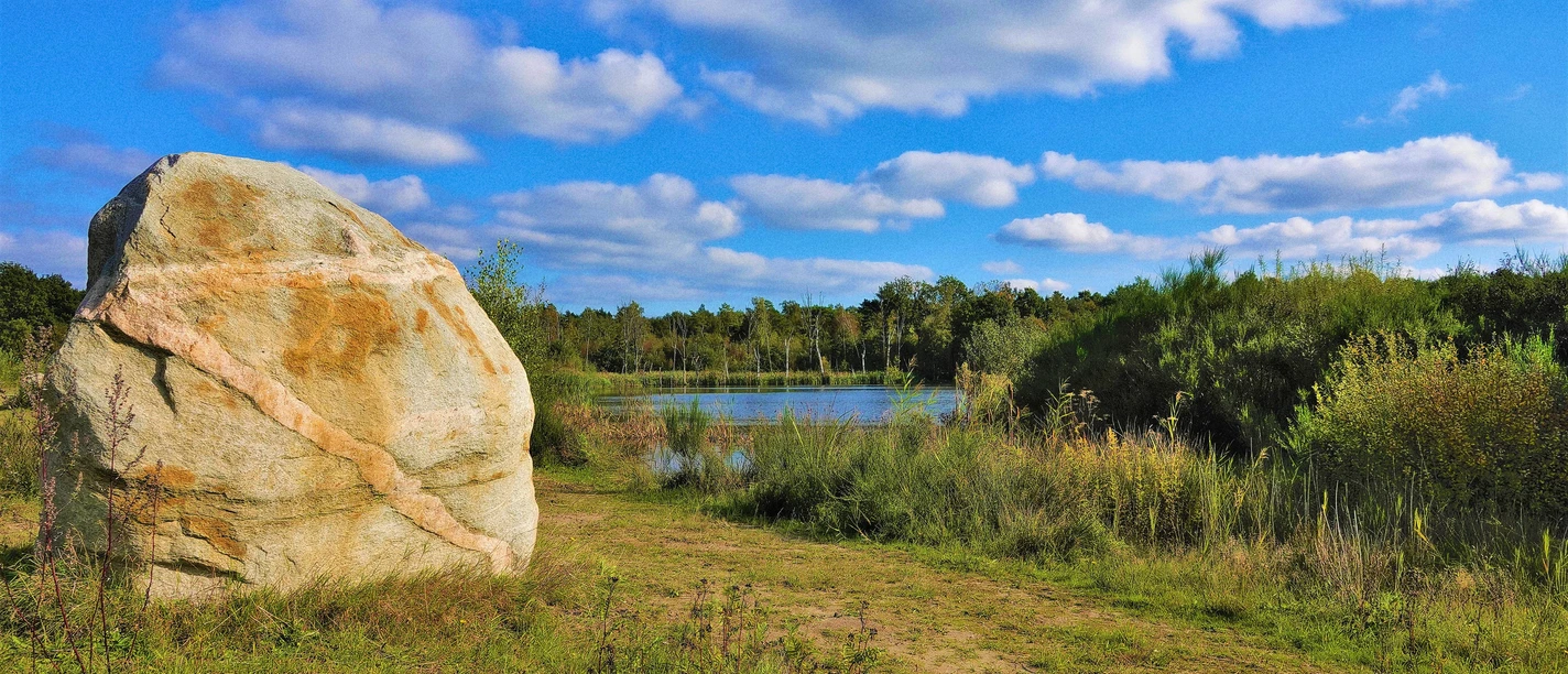 Findling im Naturpark Bourtanger Moor - Veenland
