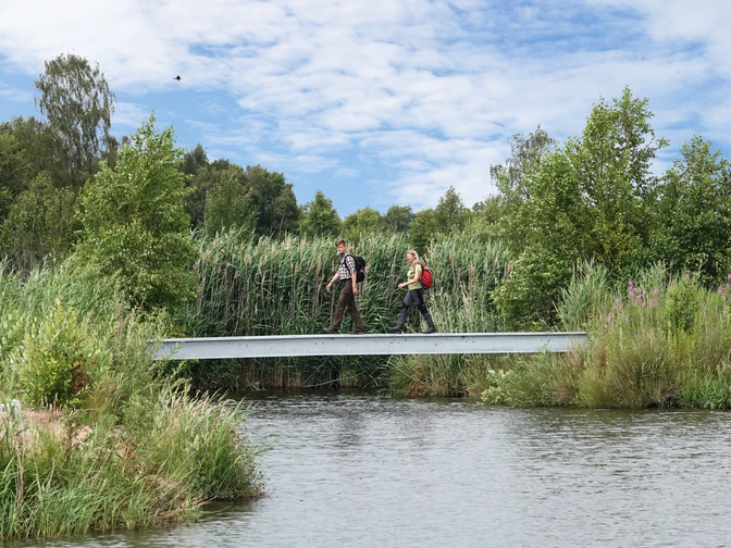 Wandern im Naturpark Bourtanger Moor - Veenland