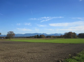 Jarezöd