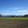 Jarezöd