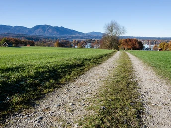 Wanderweg Uffing und Seehausen - Simon Bauer