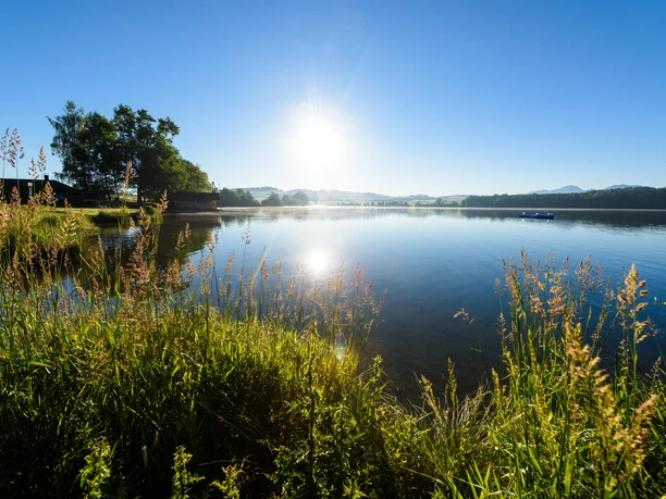 Panorama Riegsee mit Alpenblick - Wolfgang Ehn
