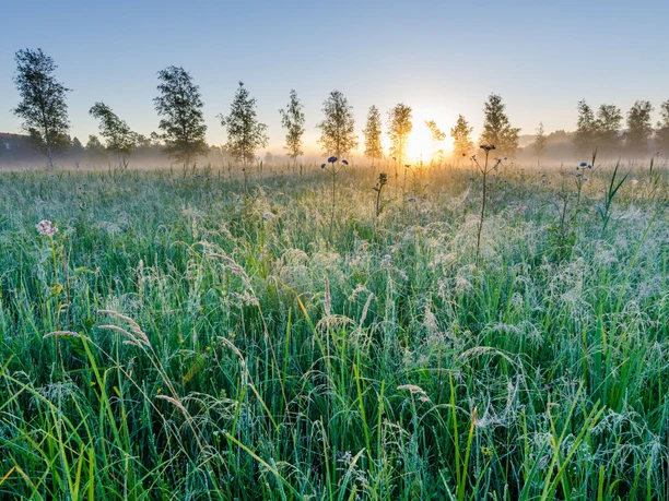 Murnauer Moos - Simon Bauer