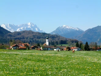 Gästeinfo