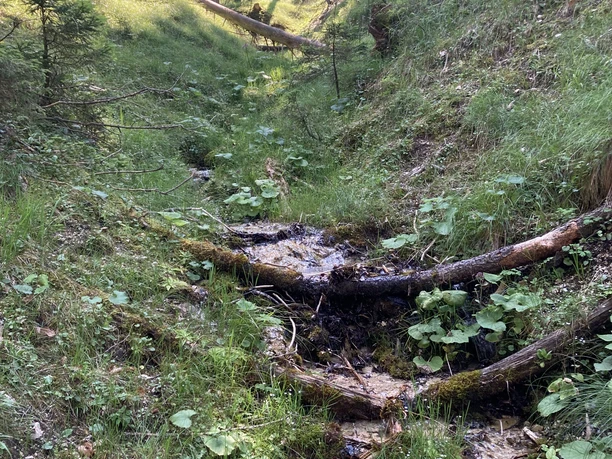 Schlagkopf