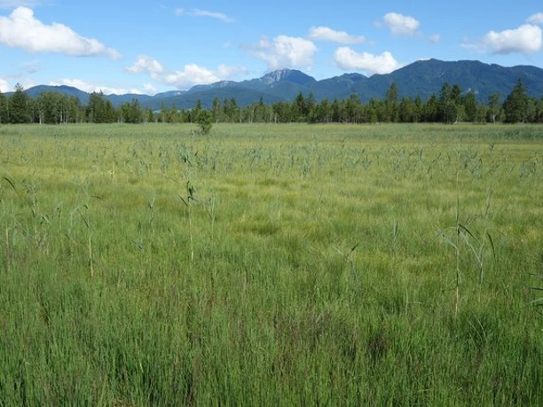 Loisach-Kochelsee-Moore