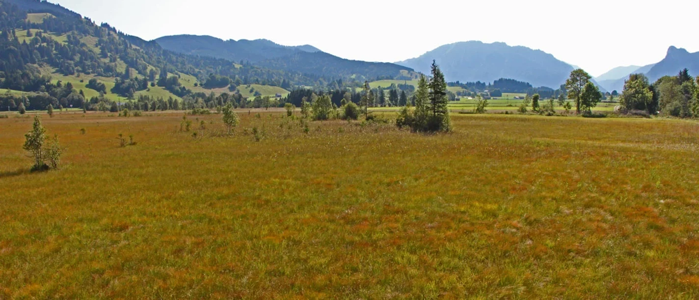 Naturschutzgebiet Kochelfilz bei Unterammergau