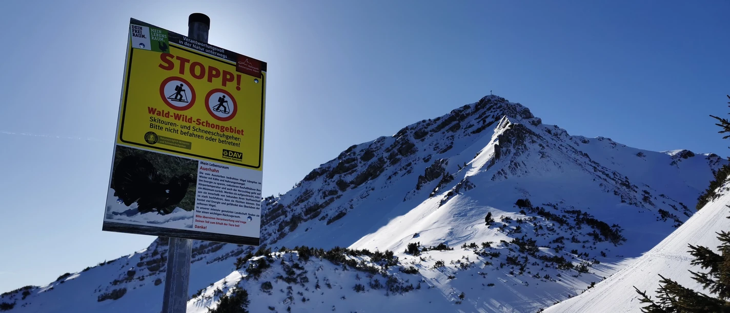 Wald-Wild-Schongebiet im Naturpark Ammergauer Alpen
