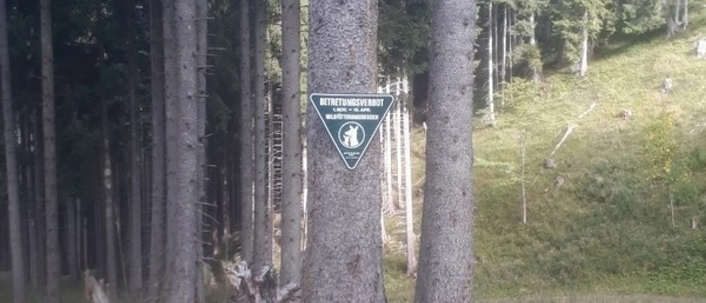 Wildschutzgebiet im Naturpark Ammergauer Alpen