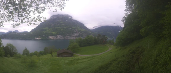 Rütliwiese