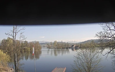 Sursee