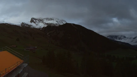 Webcam Bussalp (Grindelwald)