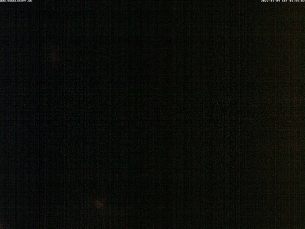 Webcam Vogelskopf
