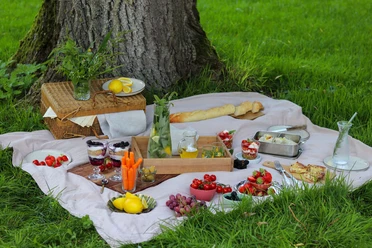 picknick-in-der-wiese.jpg
