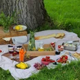 picknick-in-der-wiese.jpg