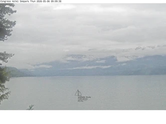 Webcam Hôtel Seepark, Thoune - Lac de Thoune