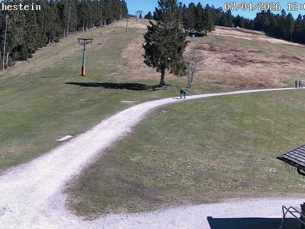 Blick auf den Skilift Ruhestein