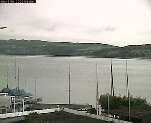 Beinwil am See: Hallwilersee Nord 1