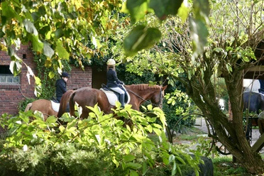 Riding in the countryside