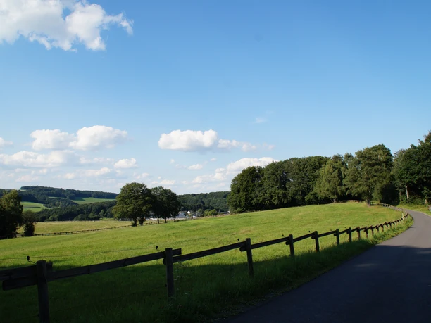 Hohbusch-hooggebergtepad nabij Lindlar-Hohkeppel Uitgestrekte, groene weiden met verspreide bomen en een smal pad onder een blauwe hemel.