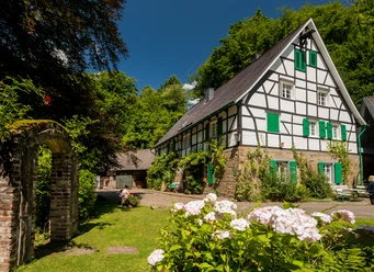 Lambertsmühle Een vakwerkhuis met groene luiken, omgeven door een weelderige tuin met bloeiende bloemen.