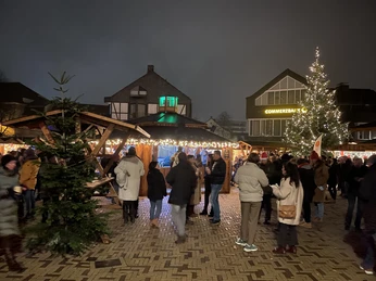 Noel Pazarı2021_Am Offers_Stadtelbert_Hantich_IMG_5611.jpg Ziyaretçilerin ve büyük bir Noel ağacının bulunduğu şenlikli bir şekilde aydınlatılmış Noel pazarı manzarası.